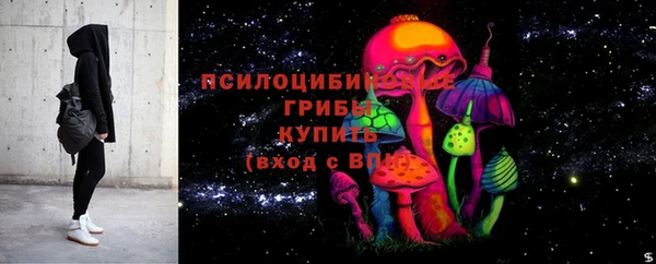 дурь Белокуриха