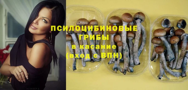 стафф Белоозёрский