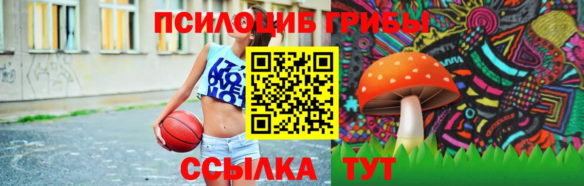 Галлюциногенные грибы мухоморы Печора